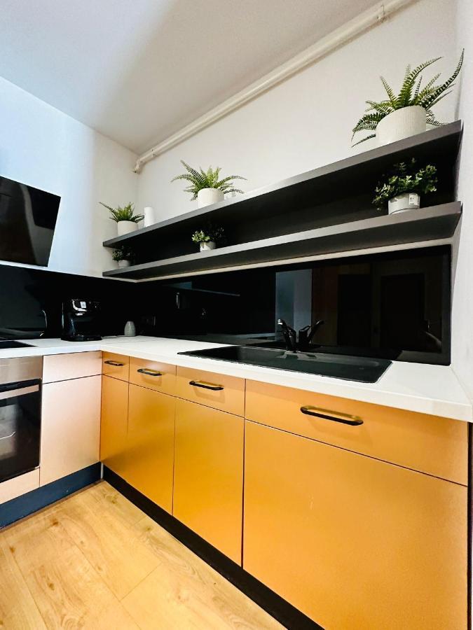 Kharisma Apartment-Free Parking-Ultracentral คลูจ-นาโปกา ภายนอก รูปภาพ